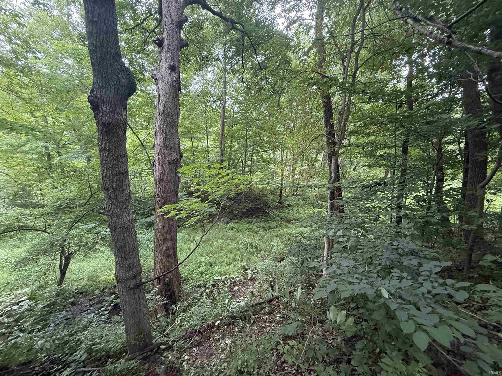 Picture 19