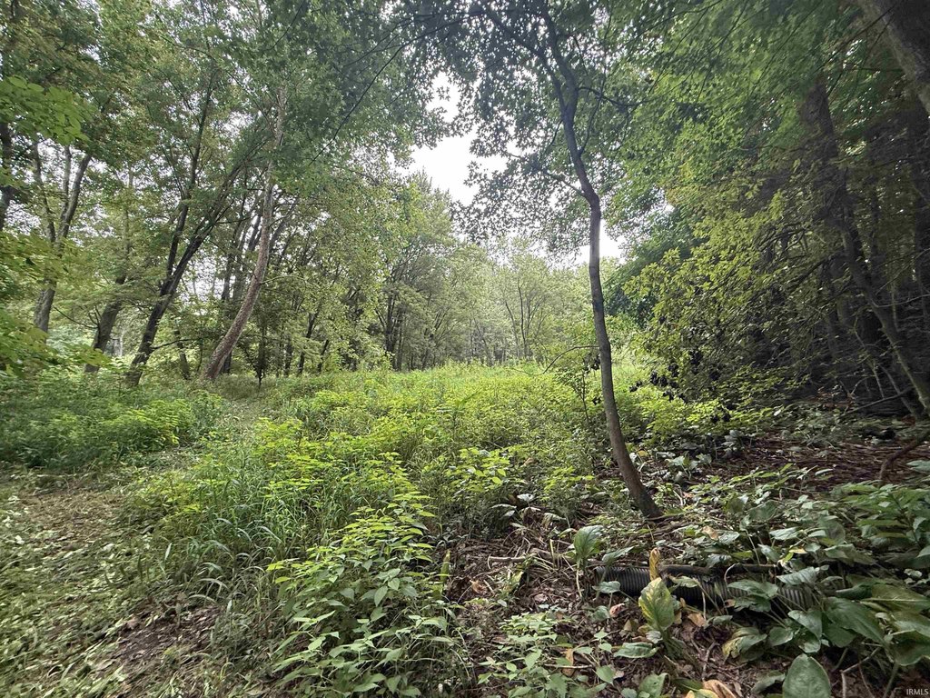 Picture 20