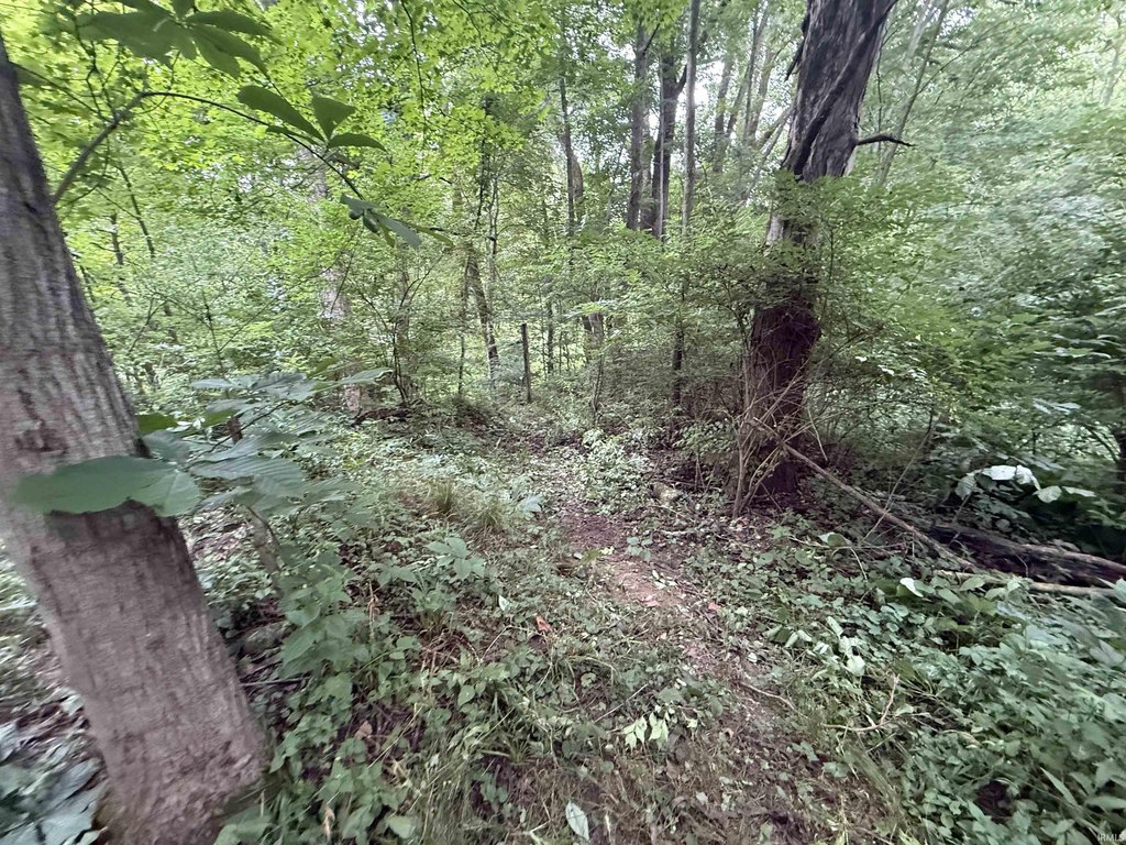 Picture 18