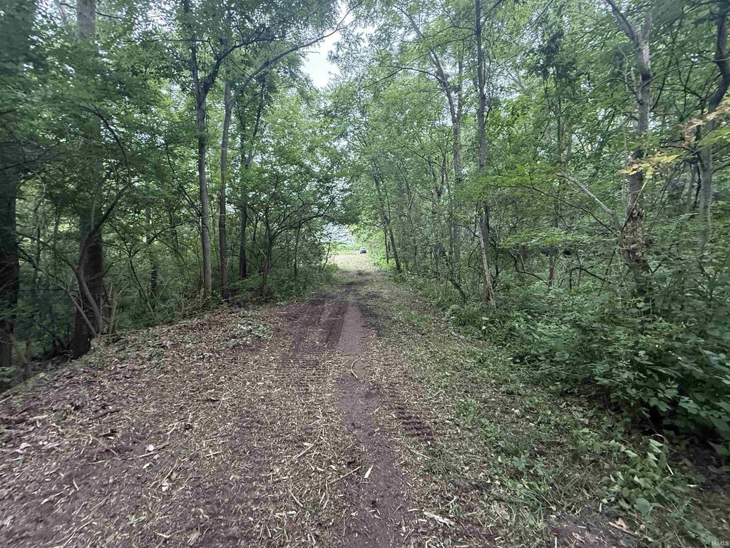 Picture 15