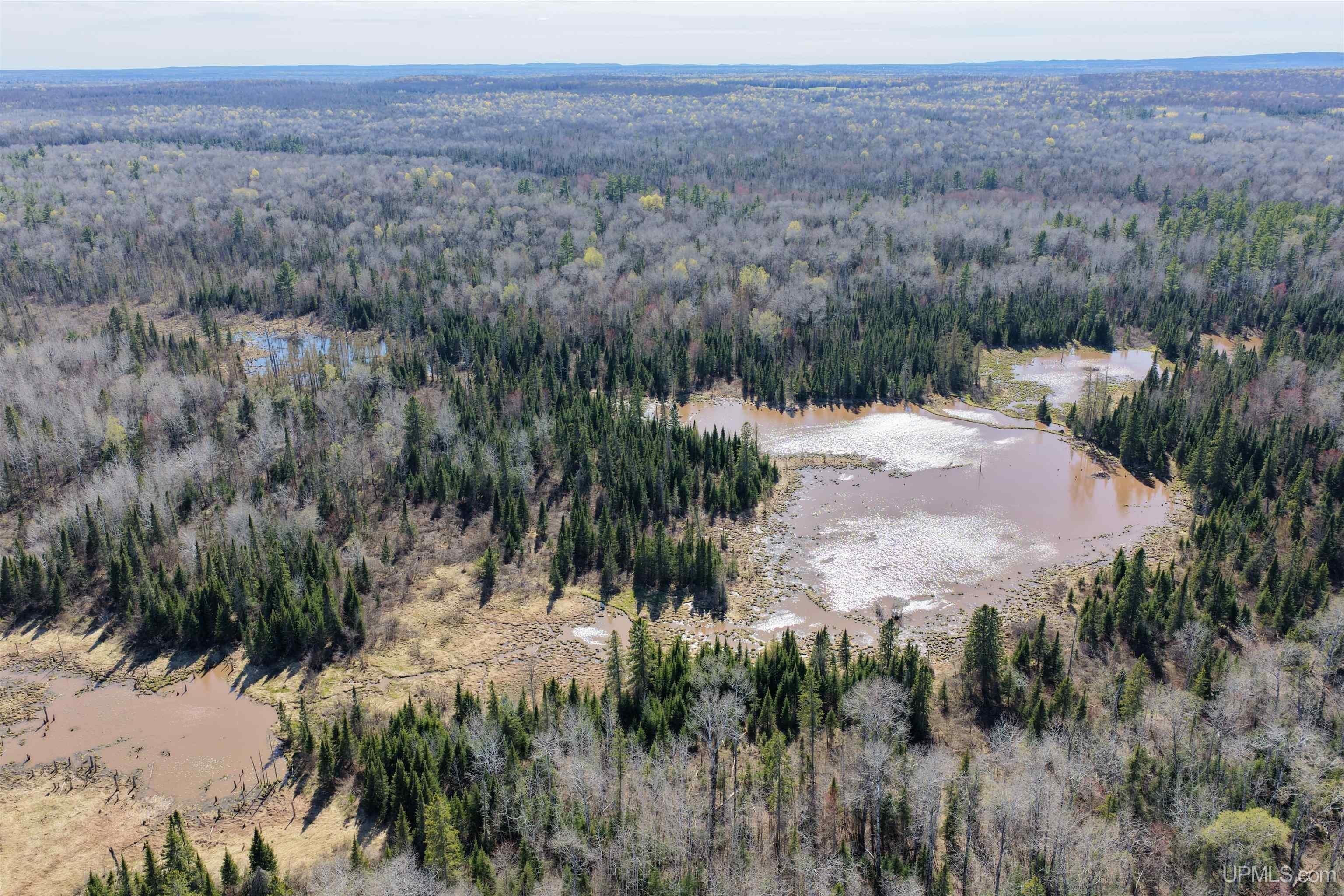Secluded 86-Acre Hunting Land