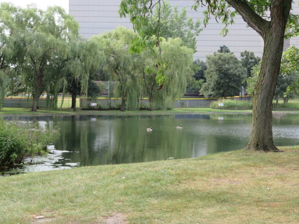 Picture 9