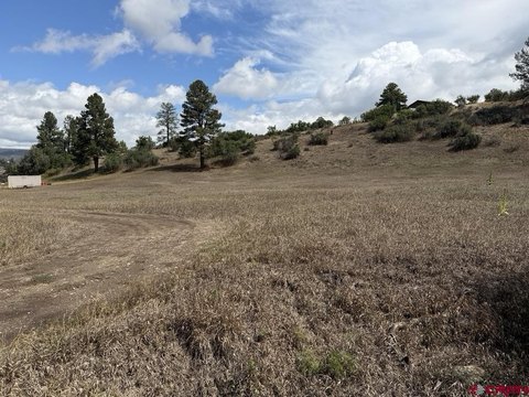LAND, Pagosa Springs, CO