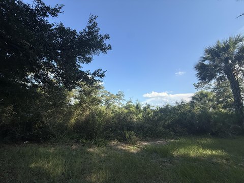 LAND - Okeechobee, FL