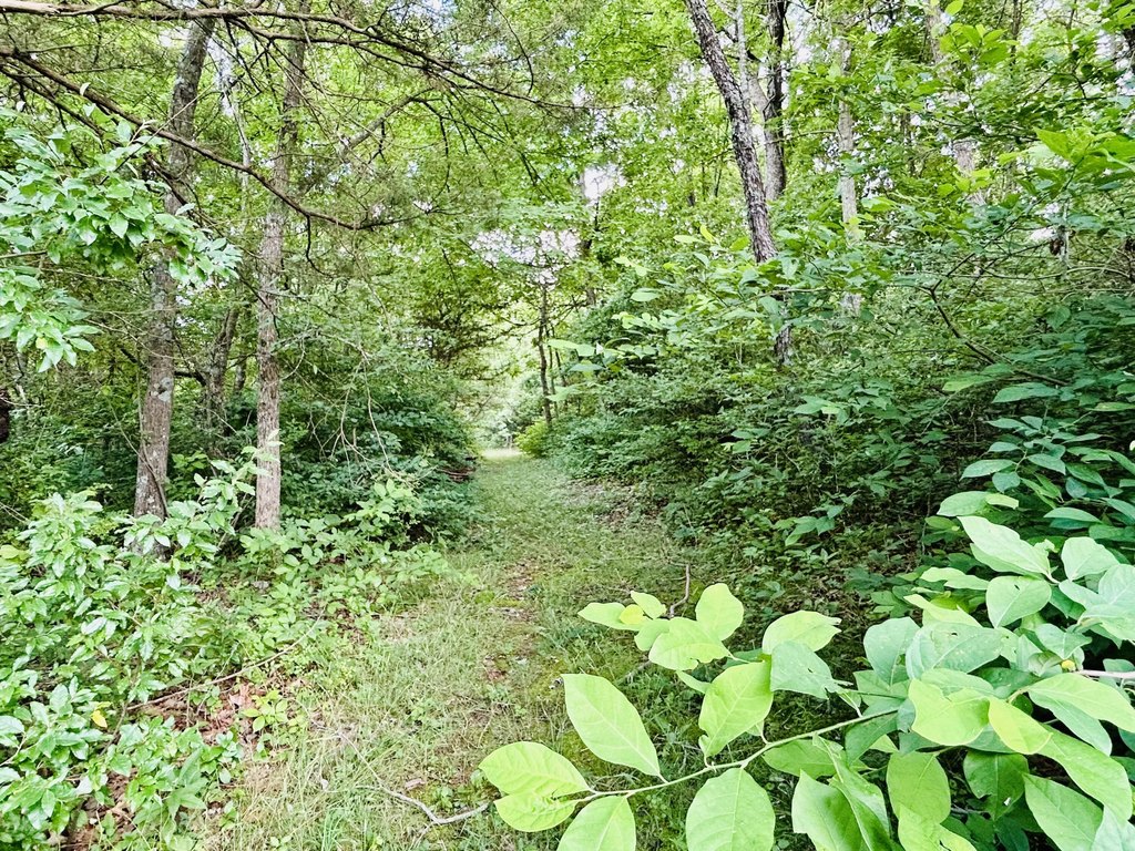 Picture 7