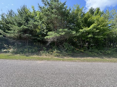Land, Kinross, MI