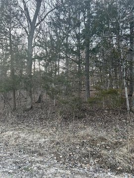 Land, De Soto, MO