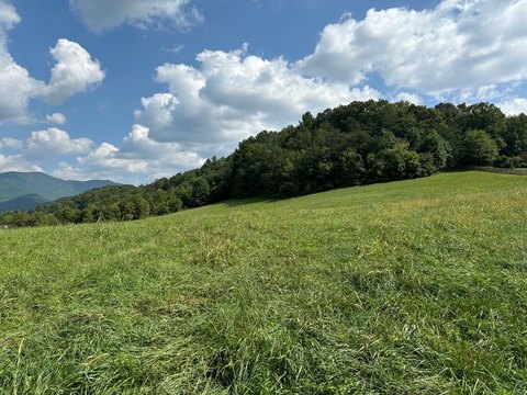 Gently Sloping Pasture Land