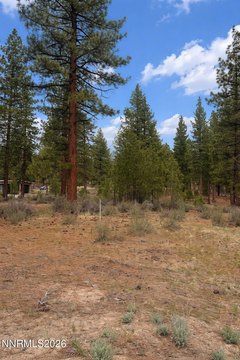 Land, Carson City, NV