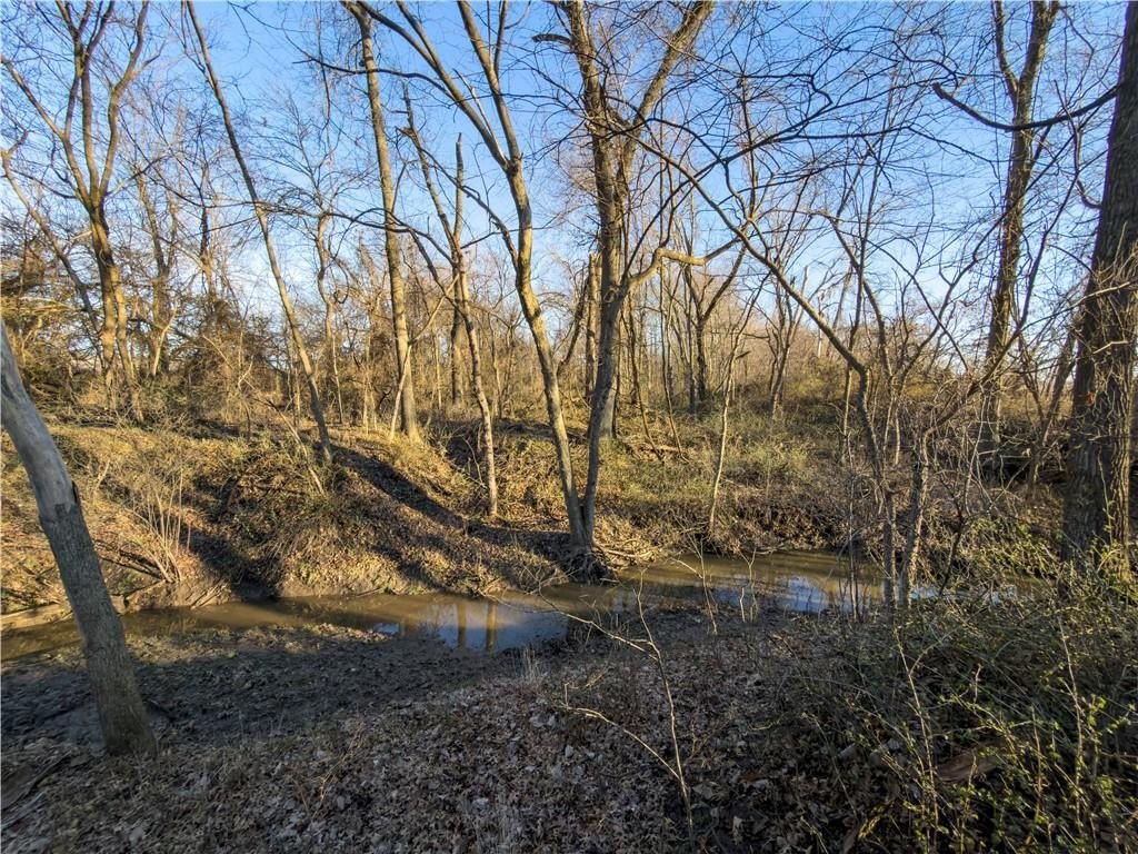 Picture 16