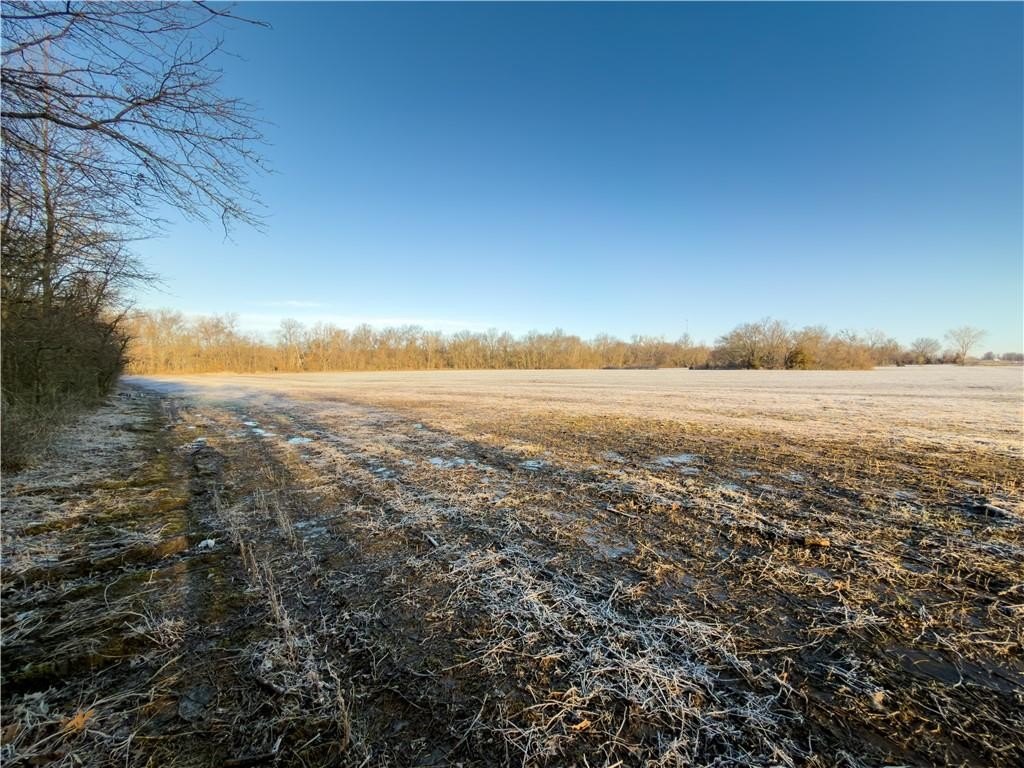 Picture 6