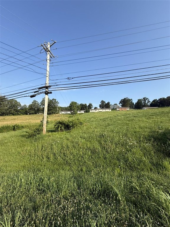 Picture 13
