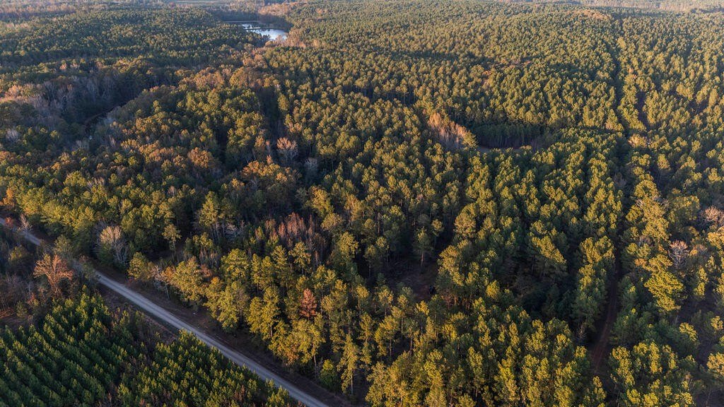Edgefield, SC Wooded Acreage