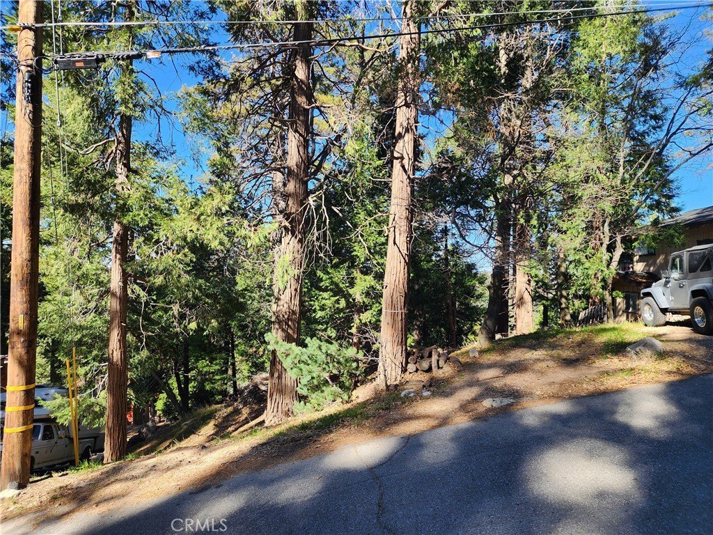 Picture 21