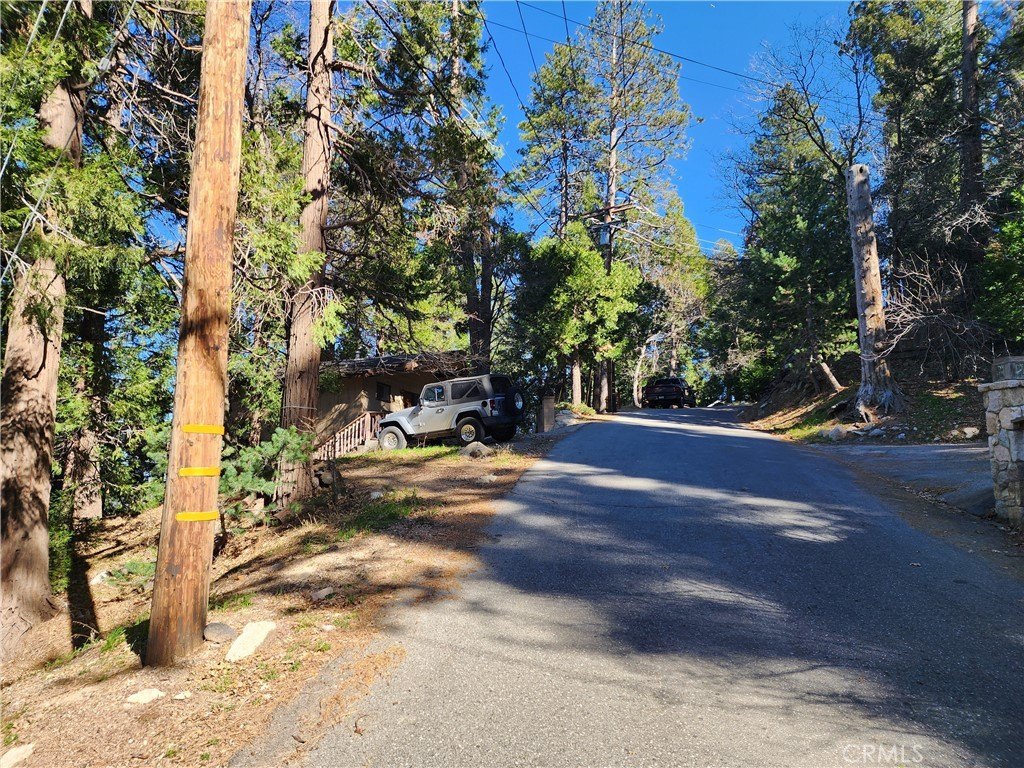 Picture 19
