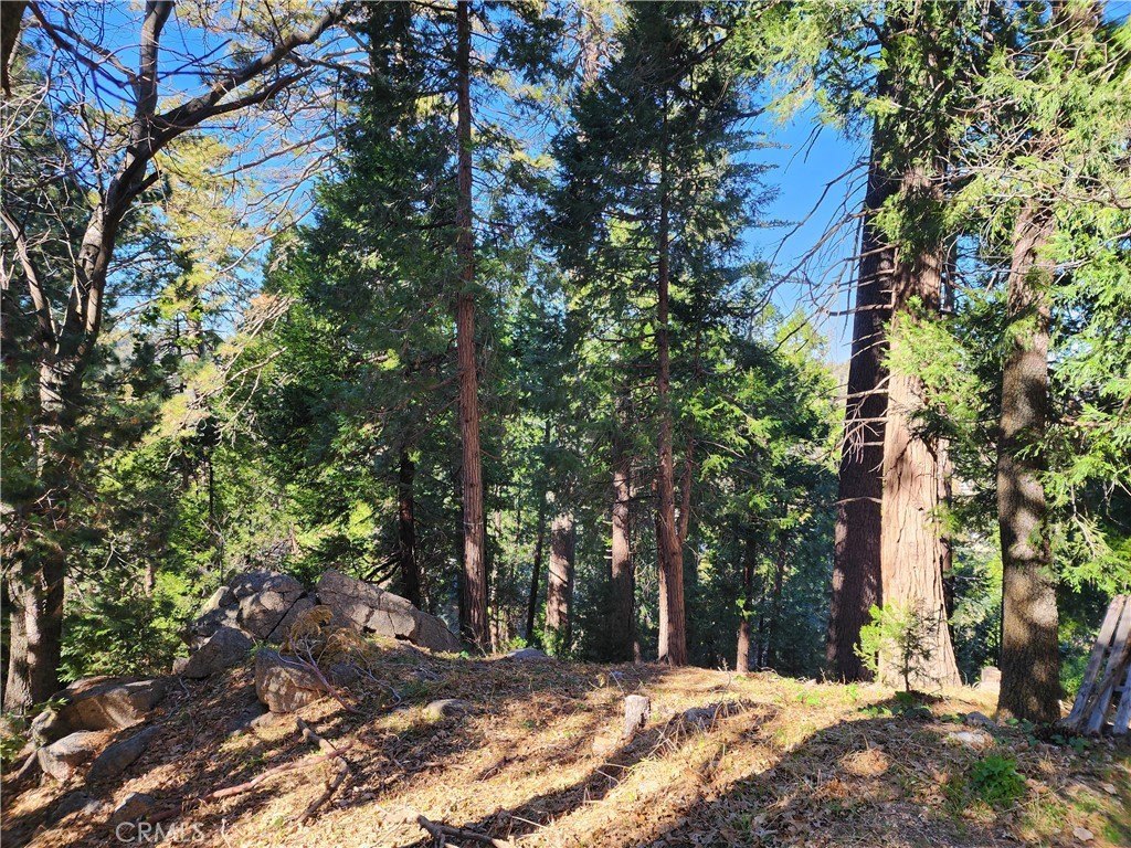 Picture 22