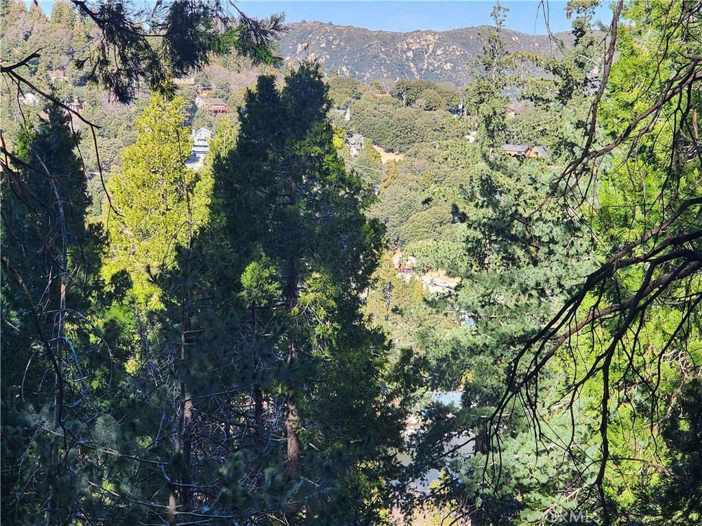 Picture 28