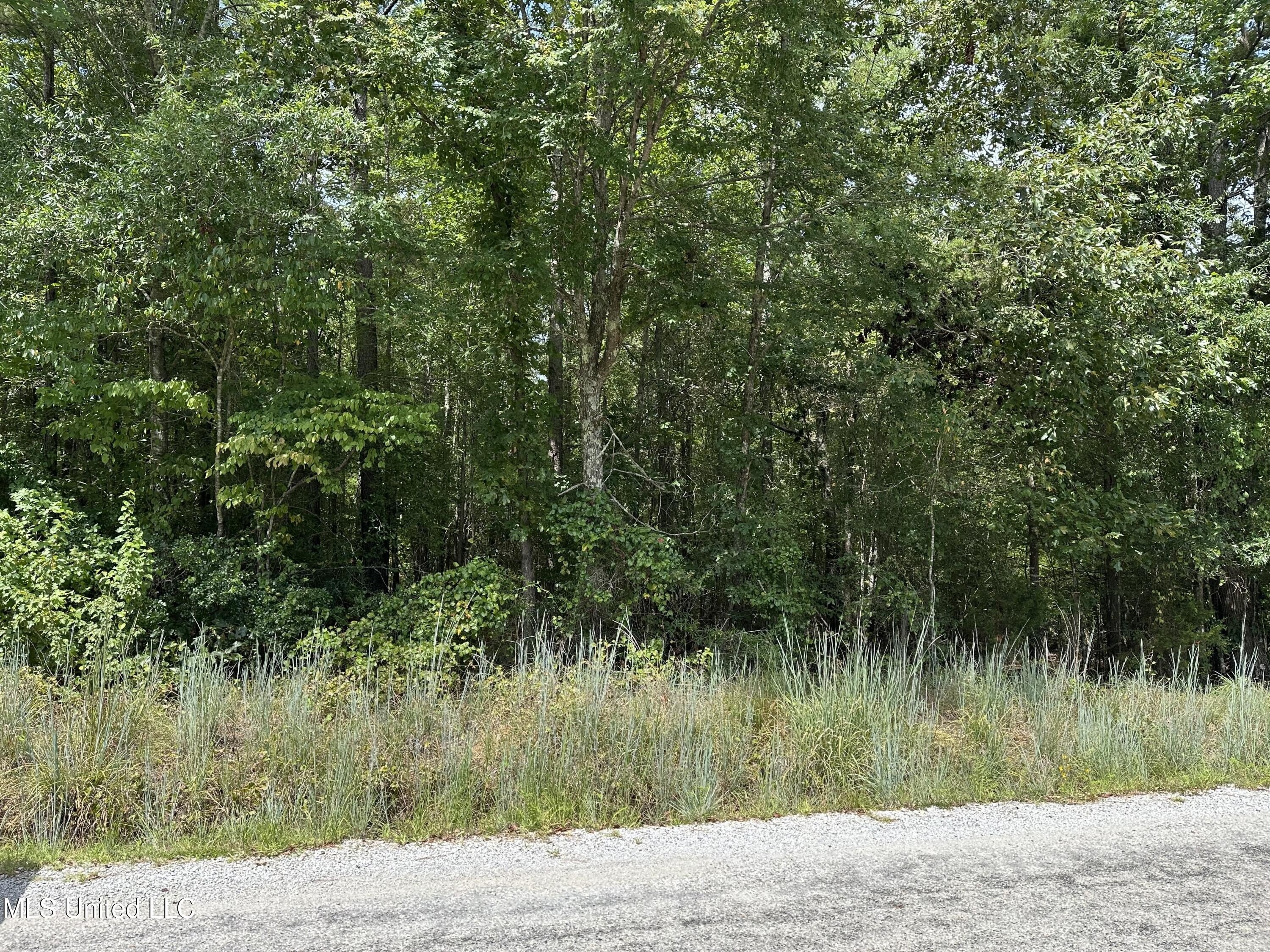 5.2 Acres Land in Mississippi