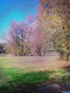 Buildable Lot Backing Green Space