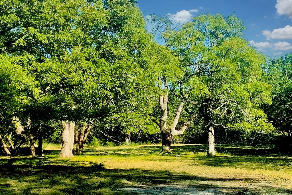 Picture 22