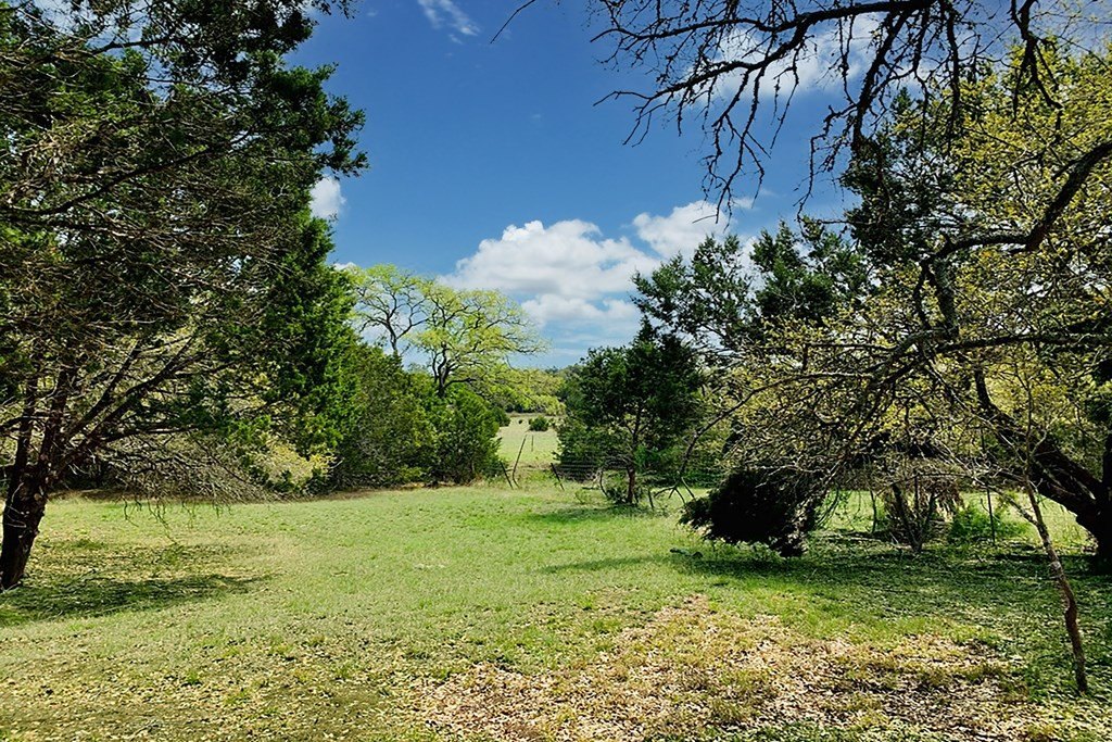 Picture 12