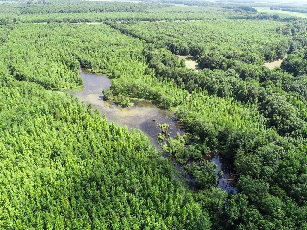 Quitman County Hunting Land For Sale