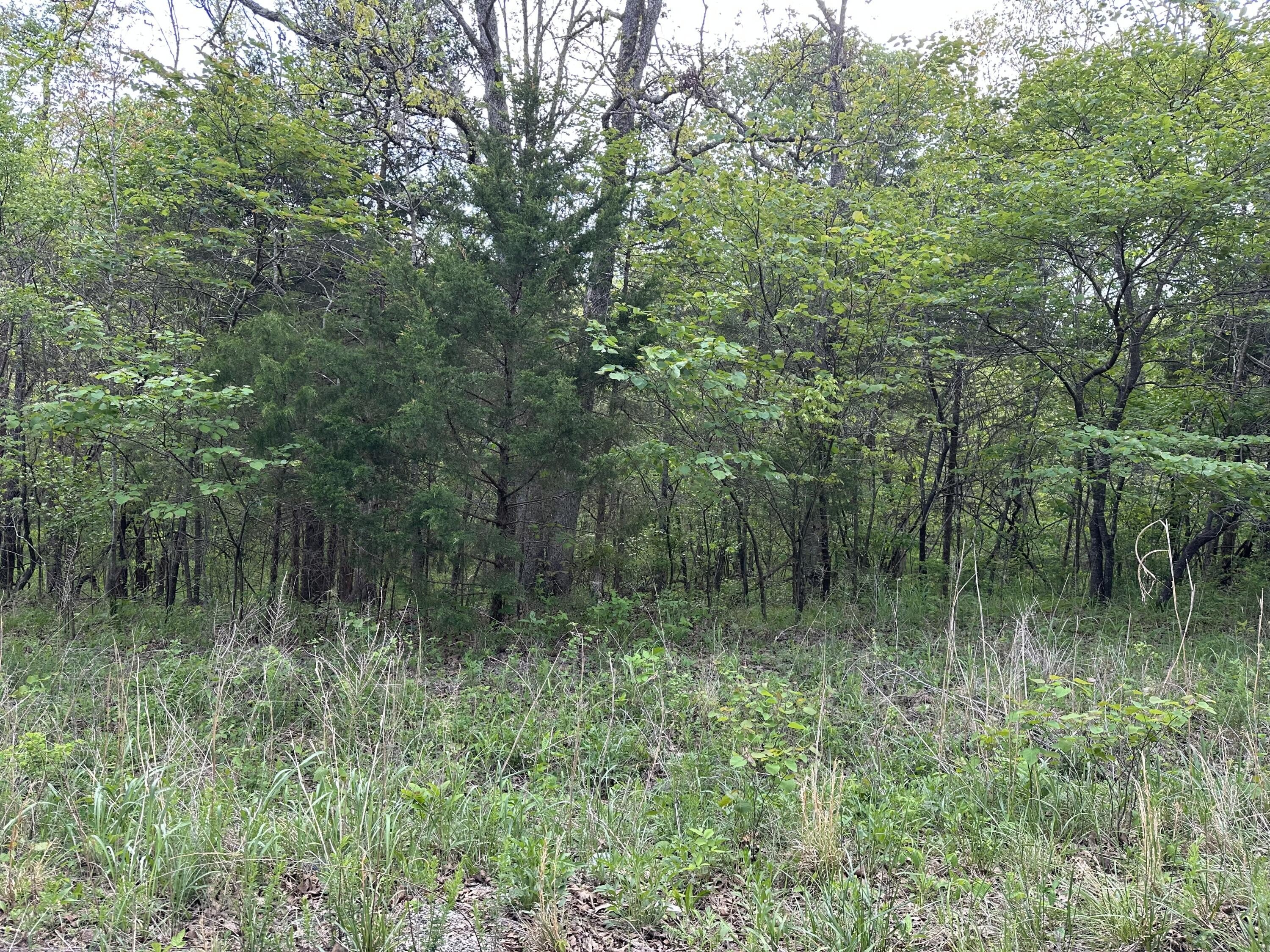 Scenic Wooded Land For Sale