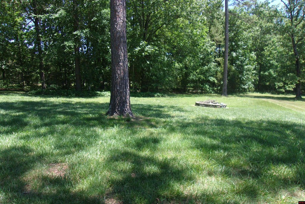 Picture 13
