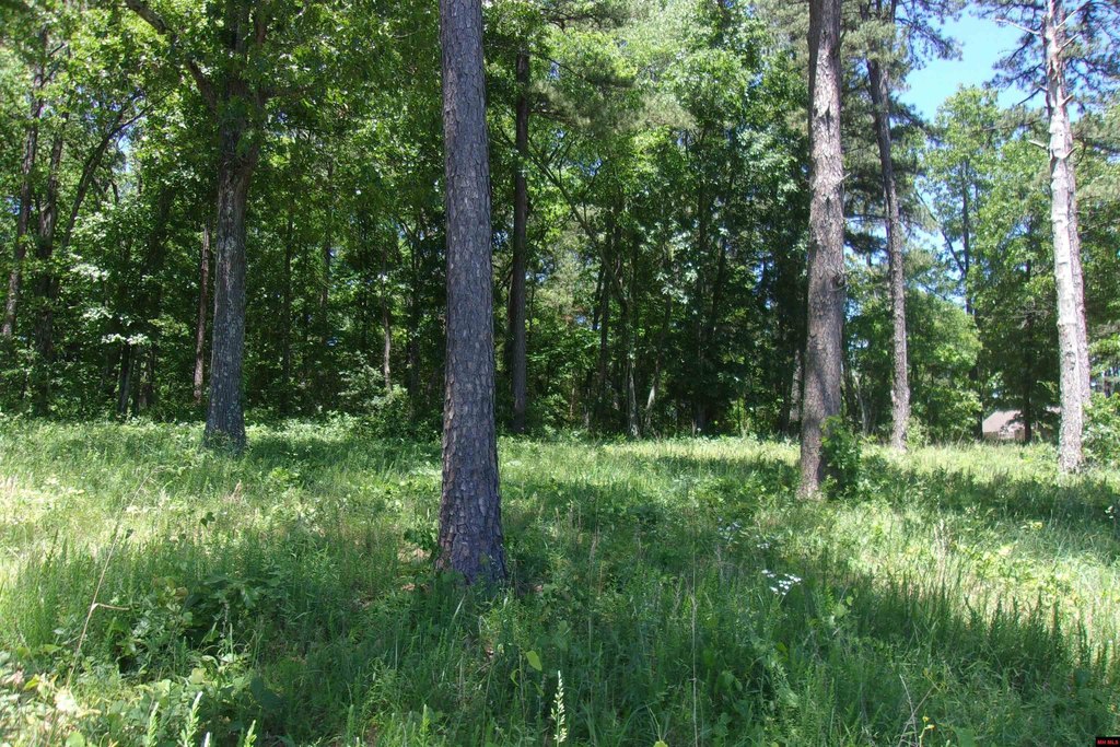 Picture 9