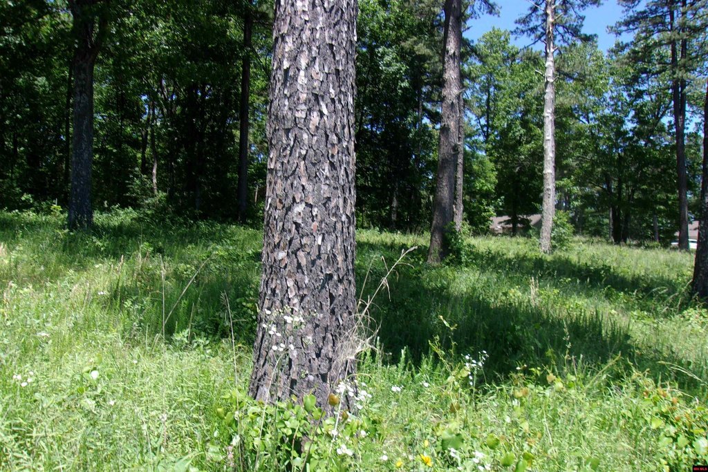 Picture 3