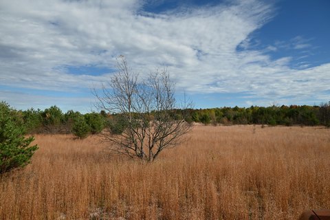 Kalkaska Land Parcel For Sale