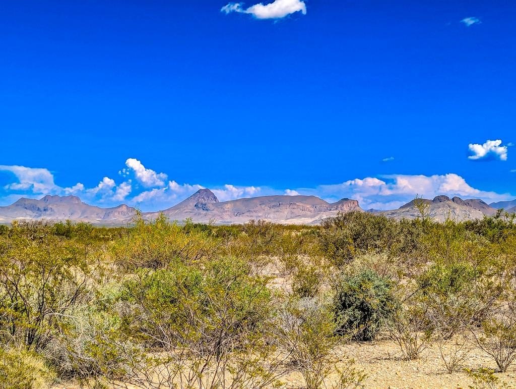 Terlingua Land with Installed Driveway
