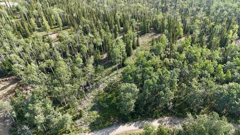 LAND - Delta Junction, AK