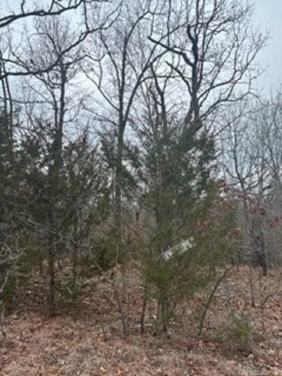 Picture 9