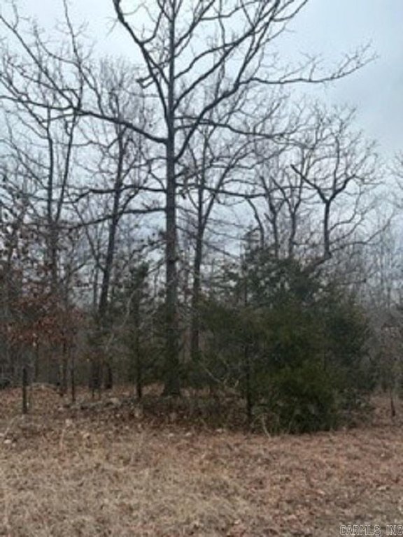 Picture 5