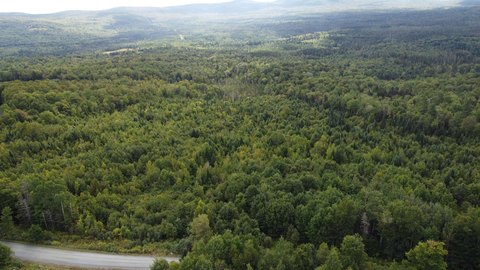29 Acres of Vermont Land