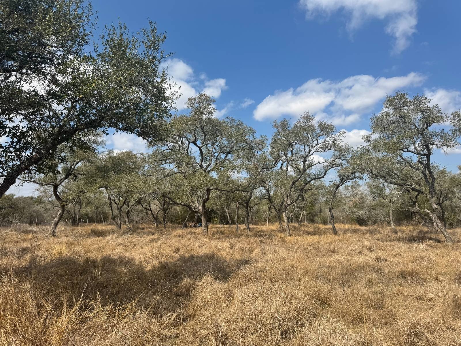 Nordheim, Texas Vacant Land