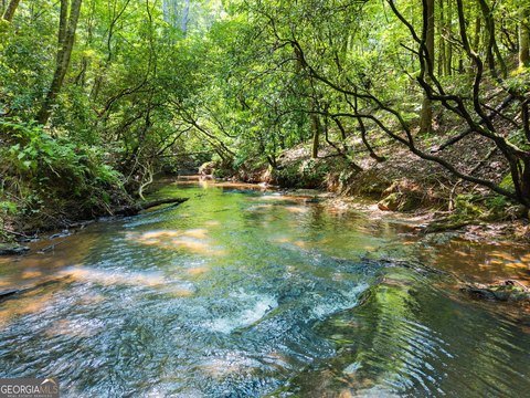 Land, Cleveland, GA