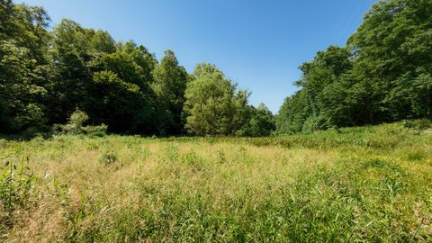 LAND - Campton, KY