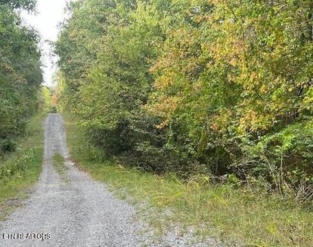 Lake Tansi Membership Lot