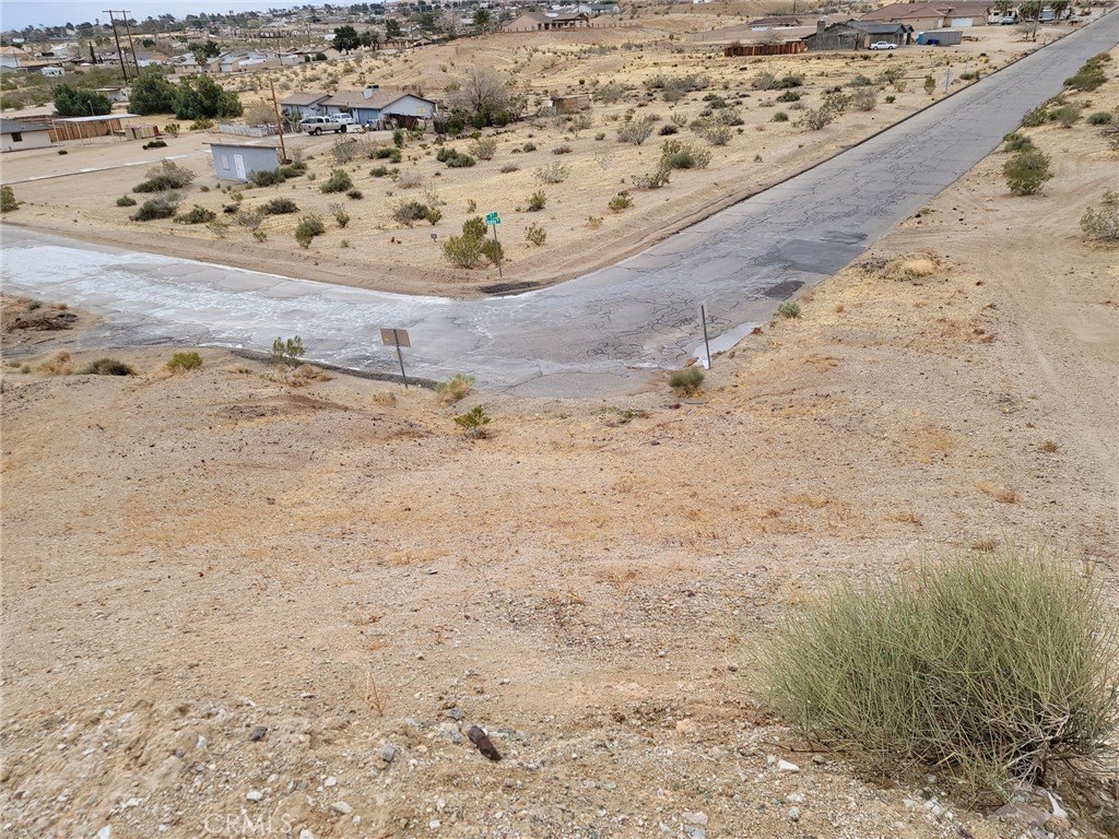 Picture 15
