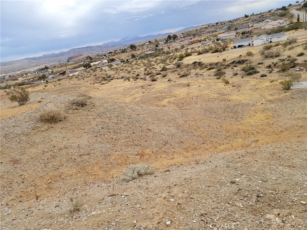 Picture 14