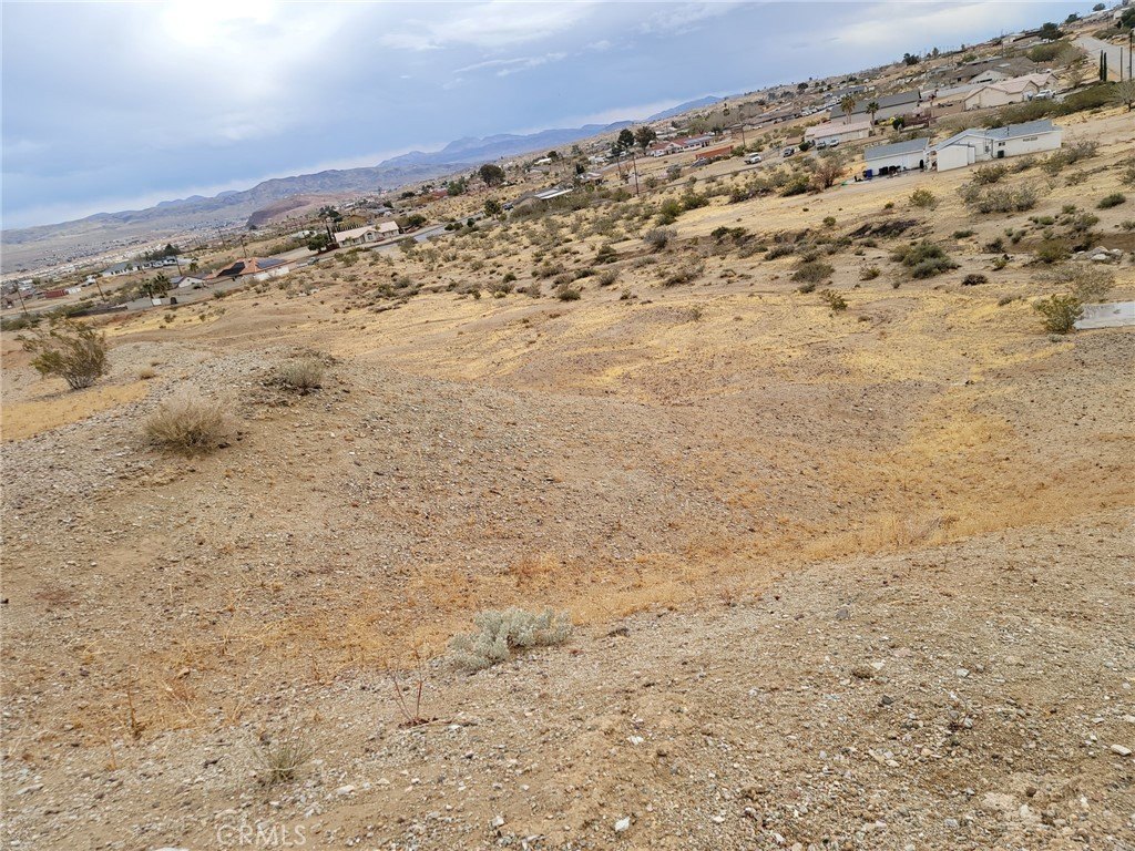 Picture 7