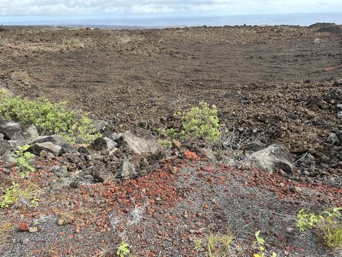 Ocean View Acreage Opportunity