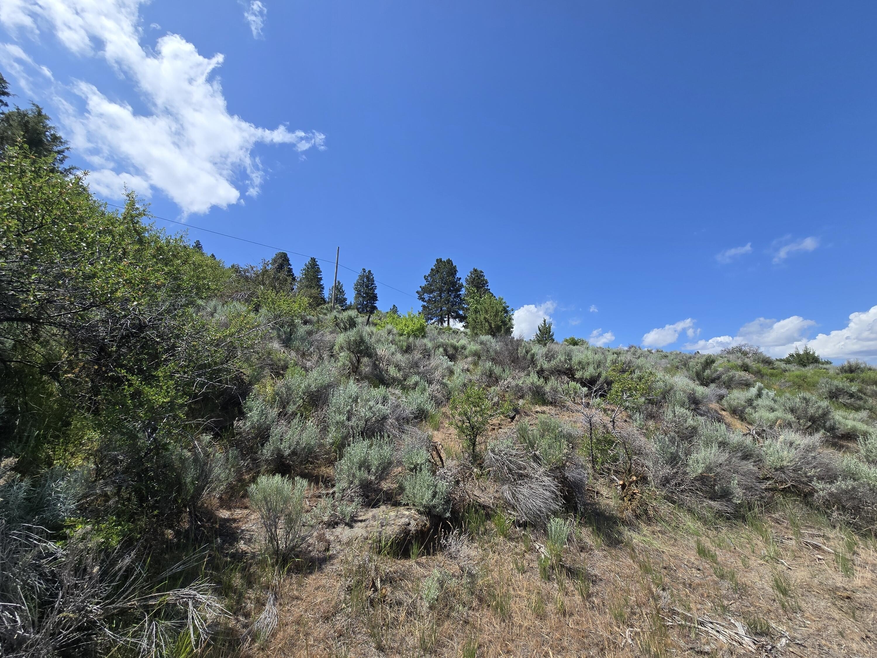 5.53 Acres with Lake Views