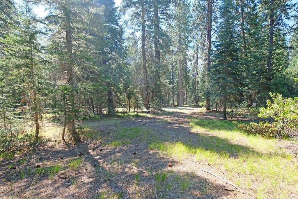 Picture 25