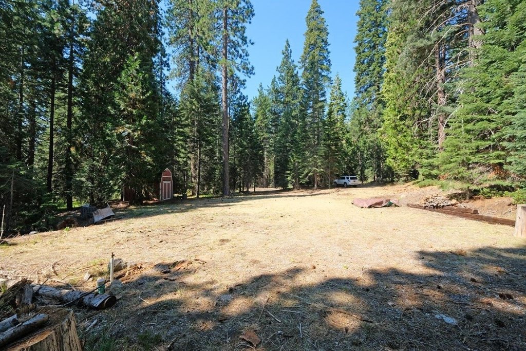 Picture 17