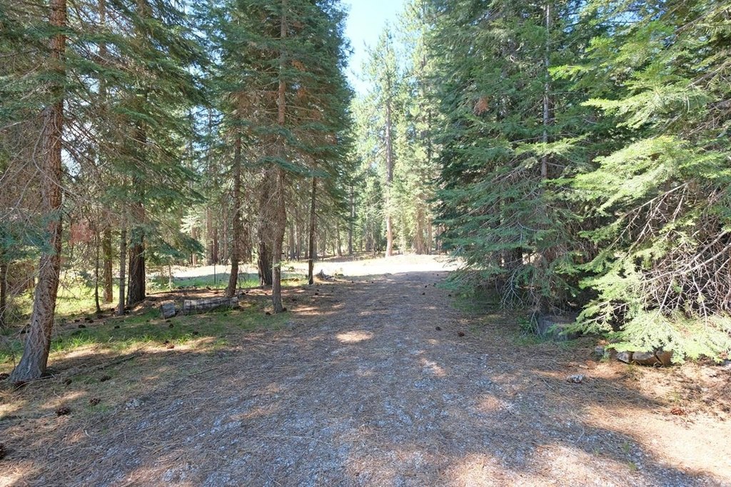 Picture 30
