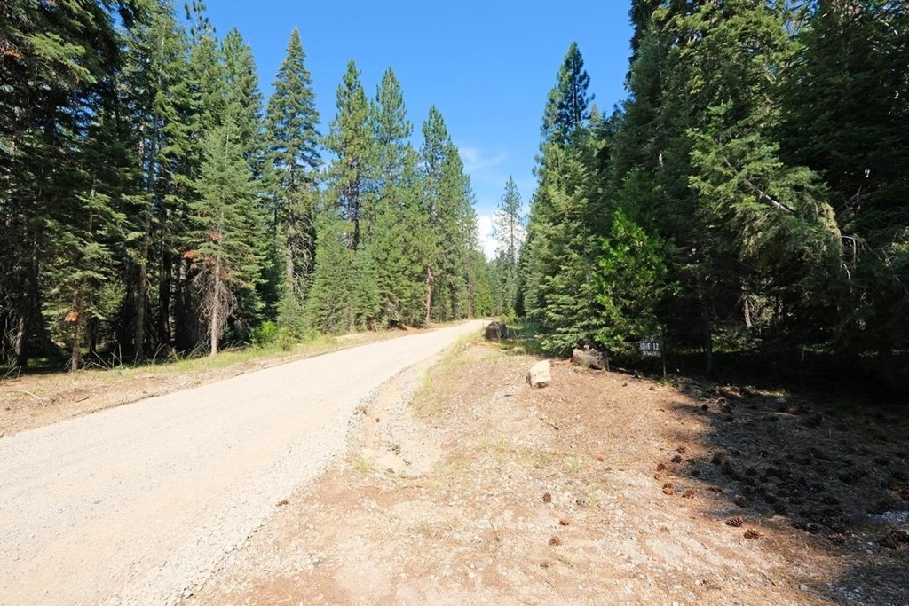 Picture 31
