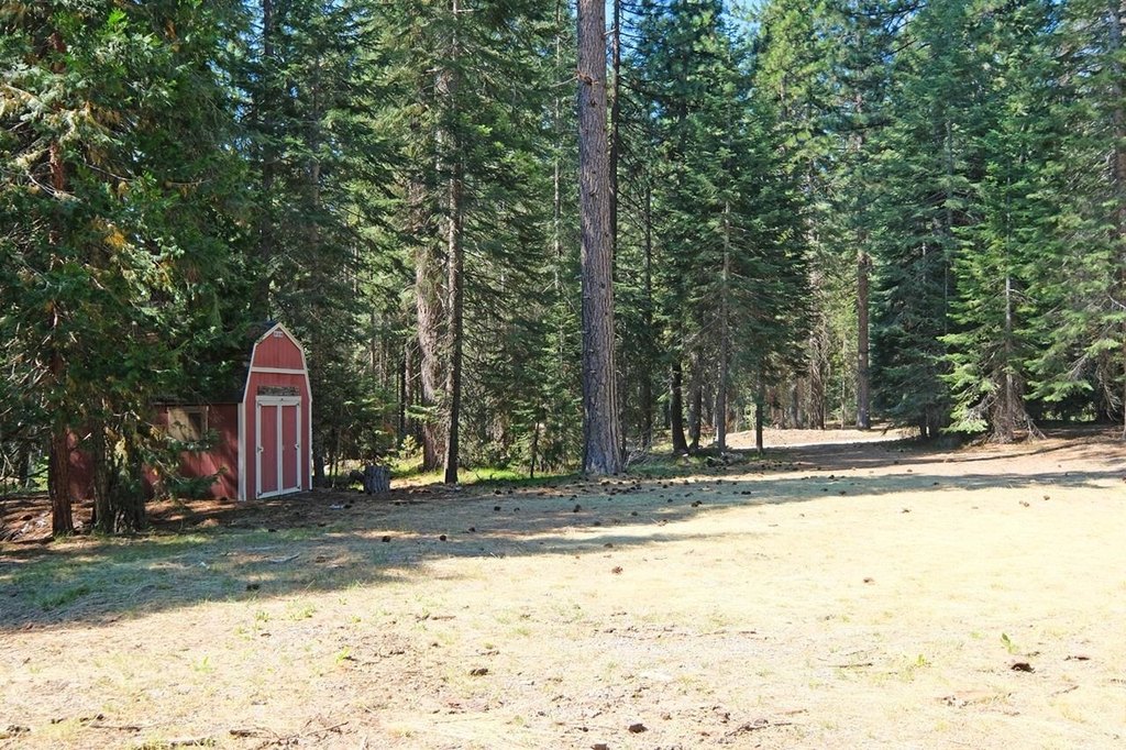 Picture 11